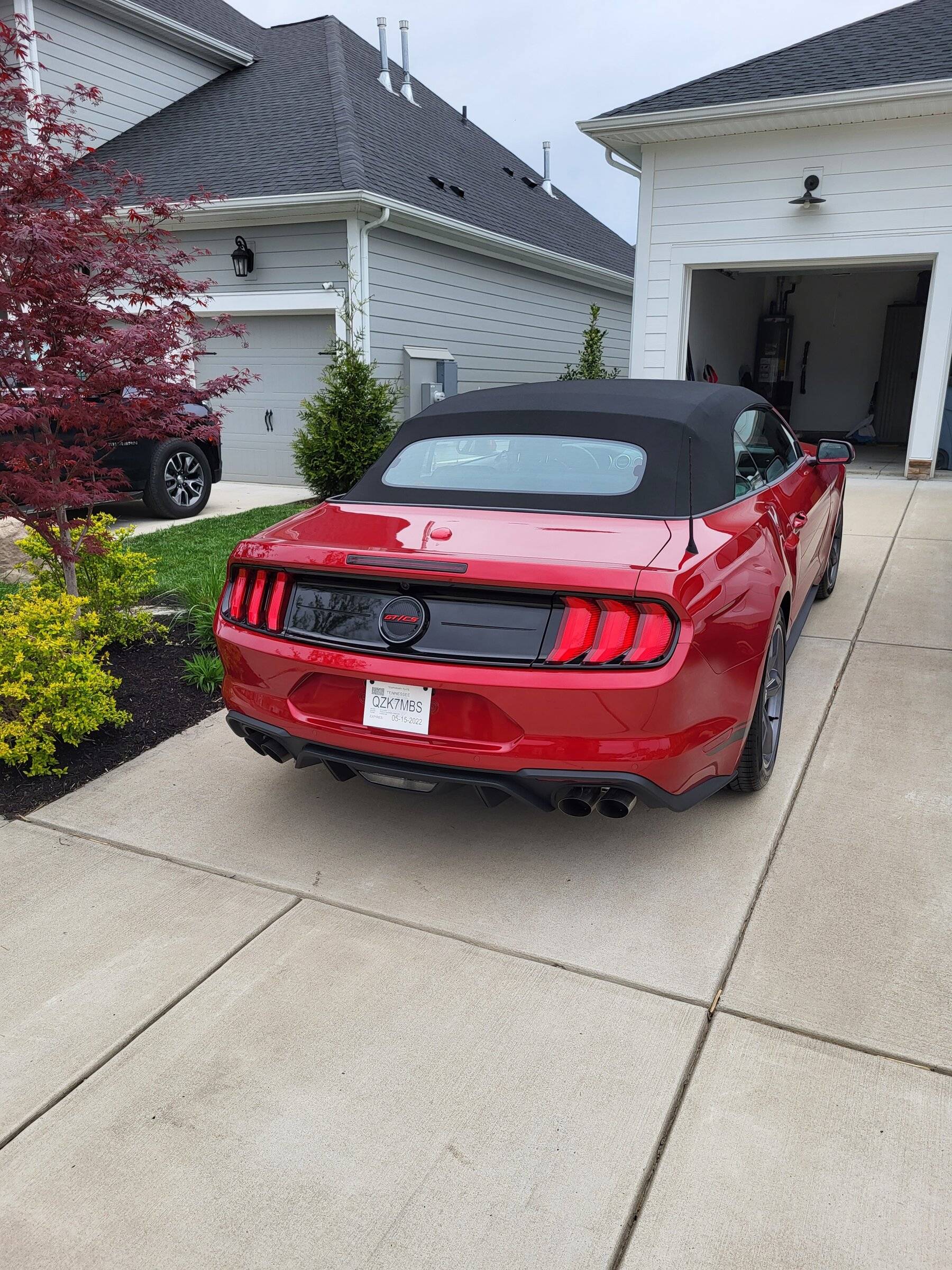 dak-mustang -2.jpg