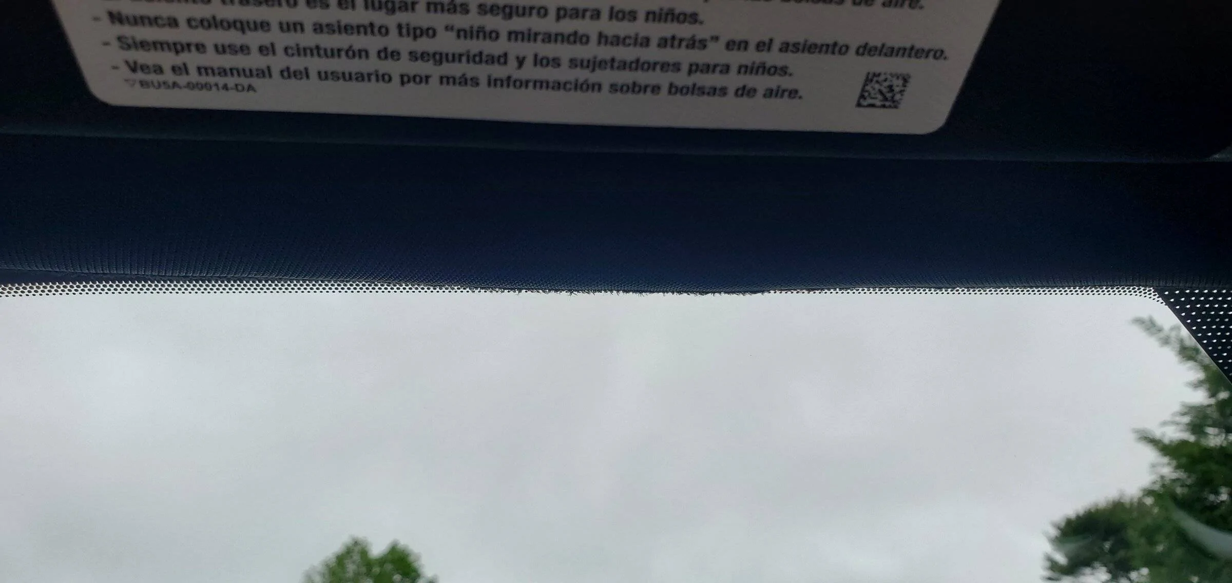20220514_145237.jpg