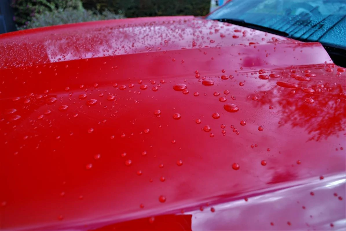 DSC-0309.webp