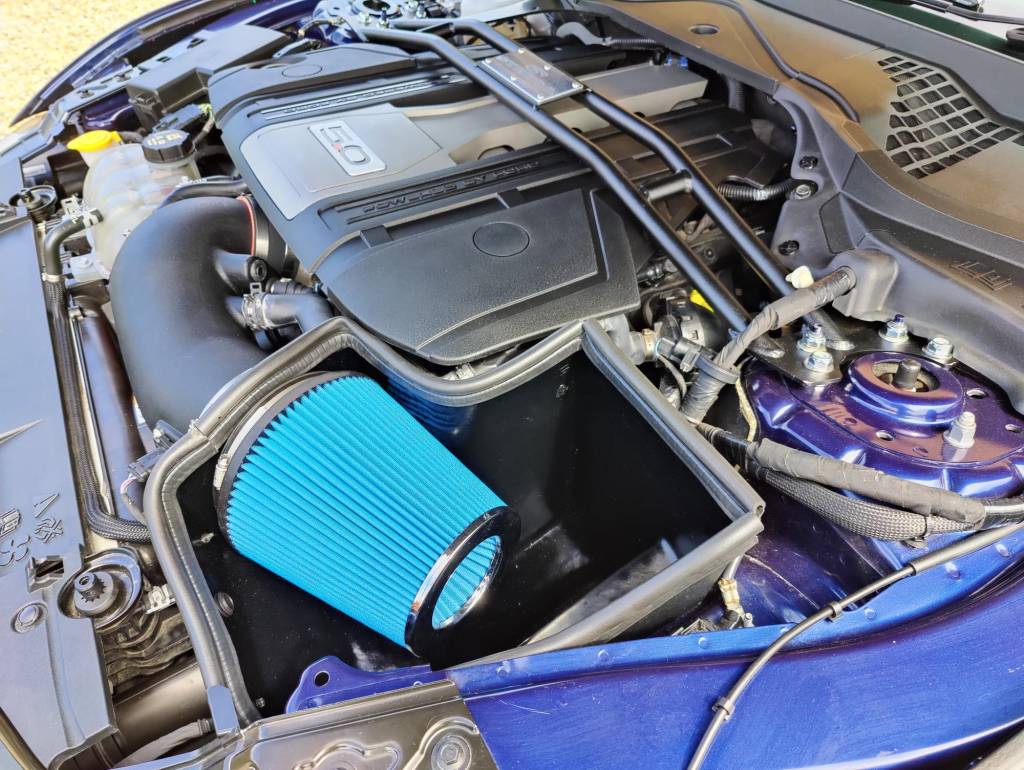 Kit_Fitted2.jpg
