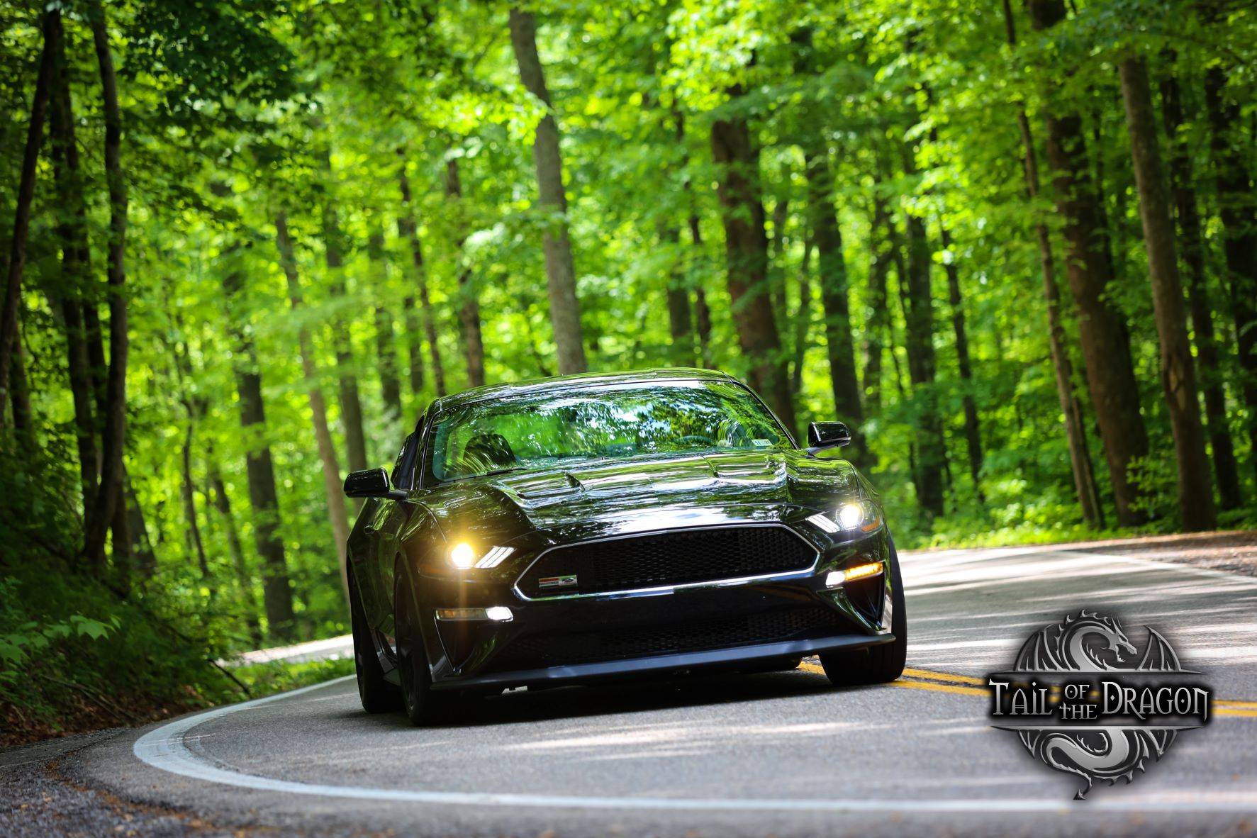 Bullitt on the Dragon 2022.jpg