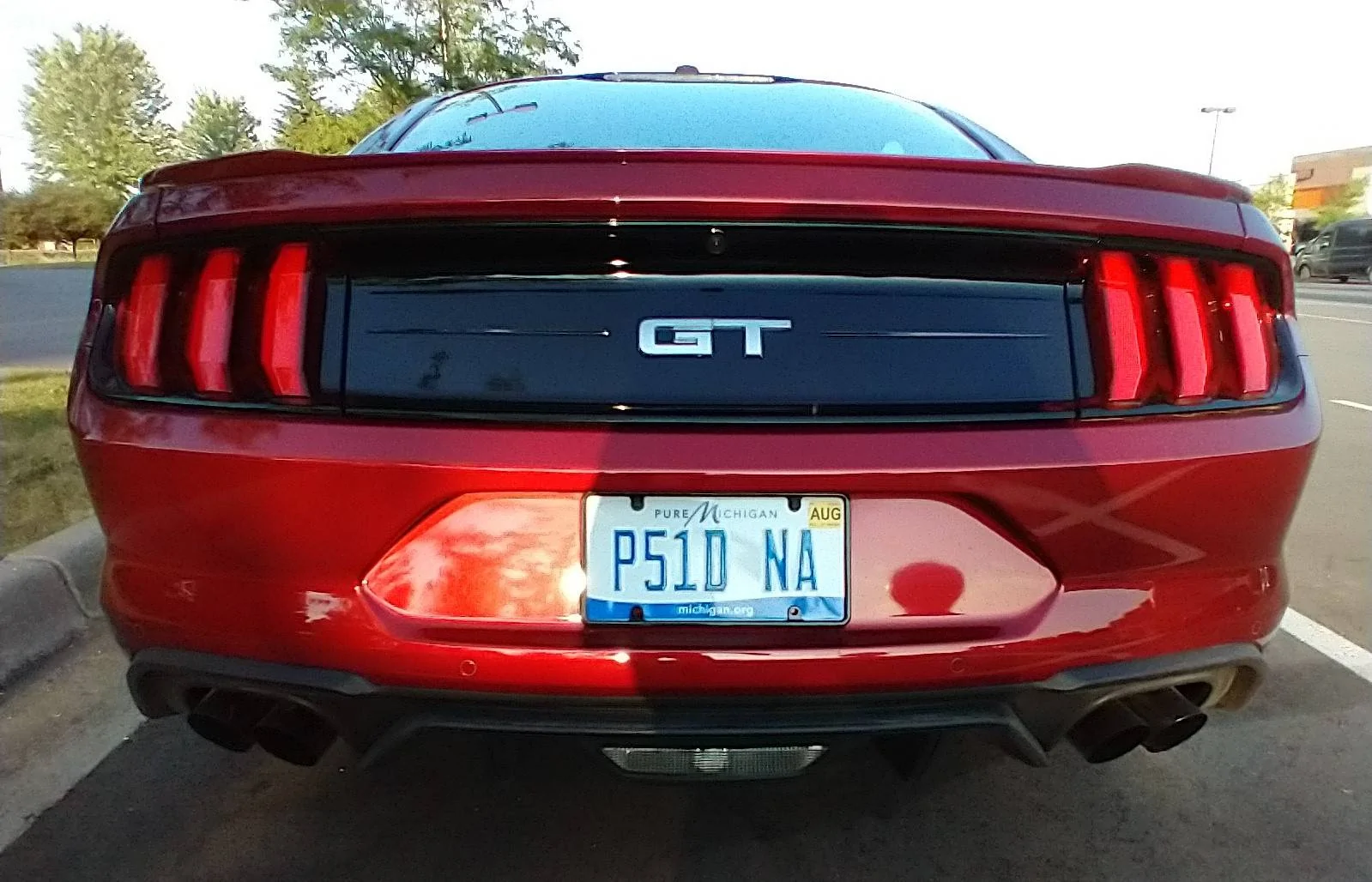 Mustang_P51 (2).webp