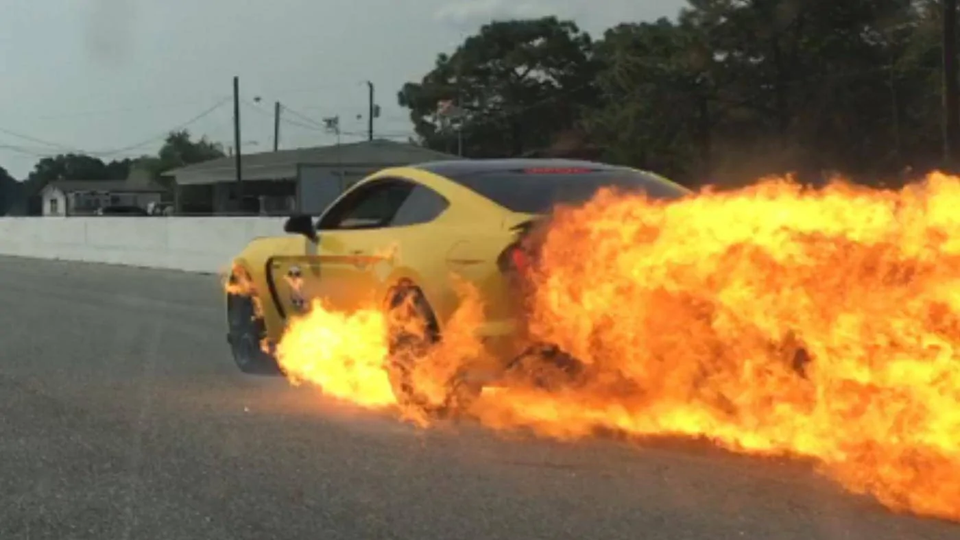 IMG_1196.webp