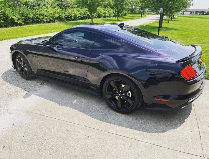 stang22-tinted.jpg