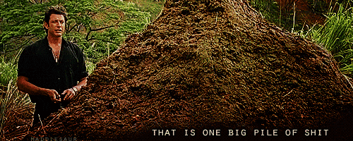 tumblr_lv5tviX3411qc7geho1_500.gif