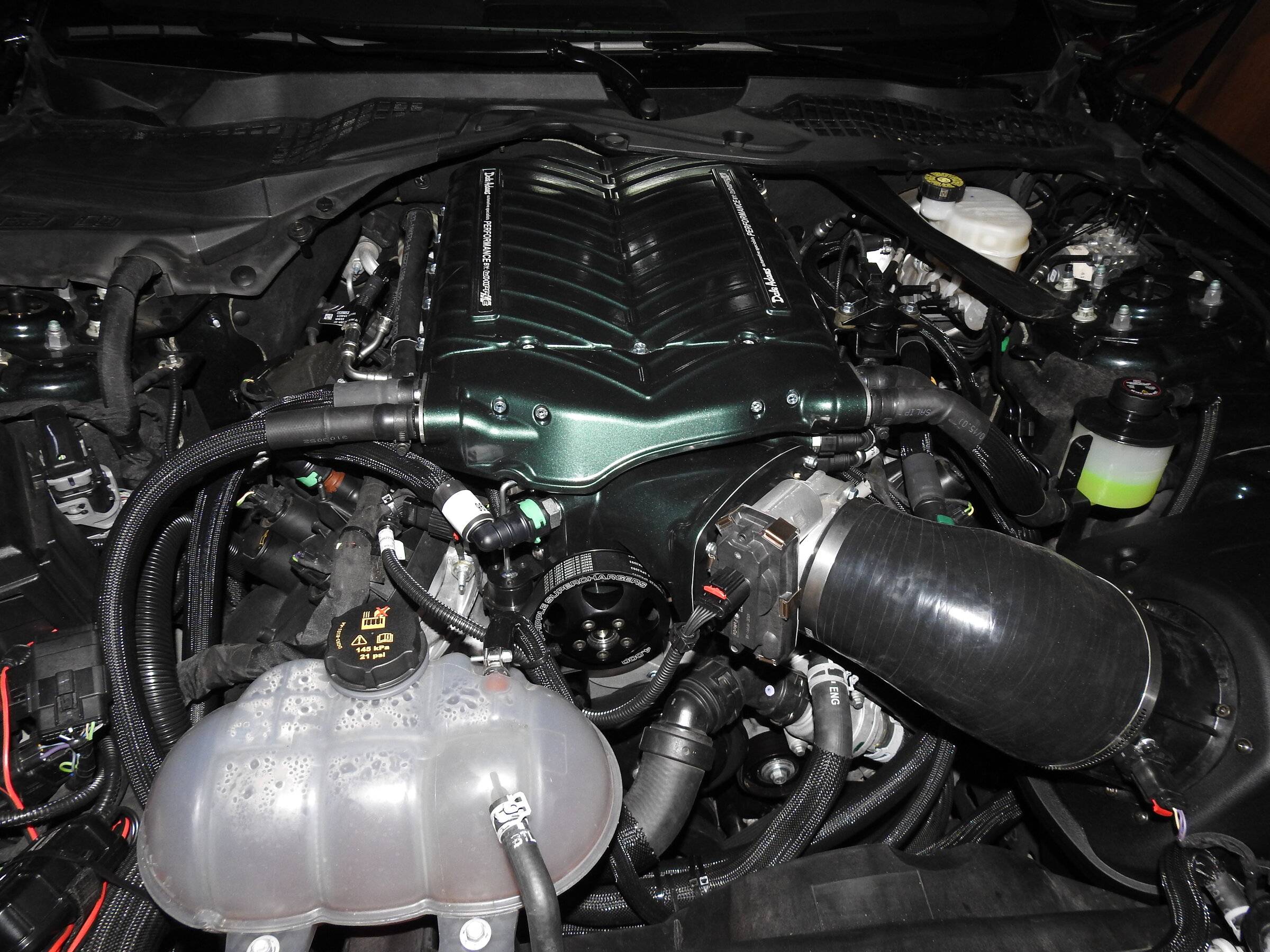 Whipple1.JPG