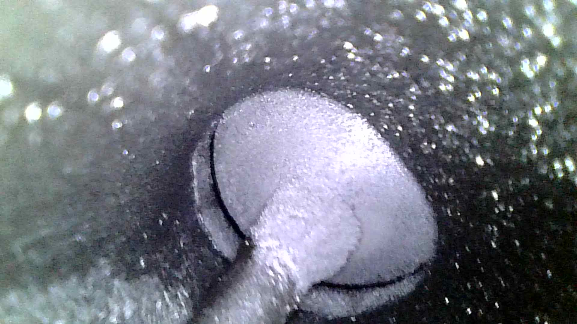 B4E3ECEC-F6A1-43D8-9989-3ED86D39CDE5.jpeg