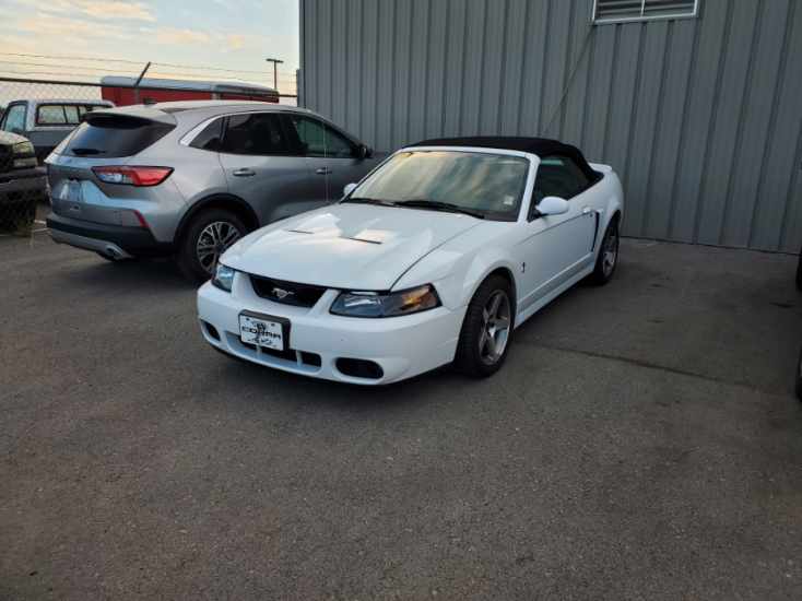 Resized_20220611_053229.jpeg