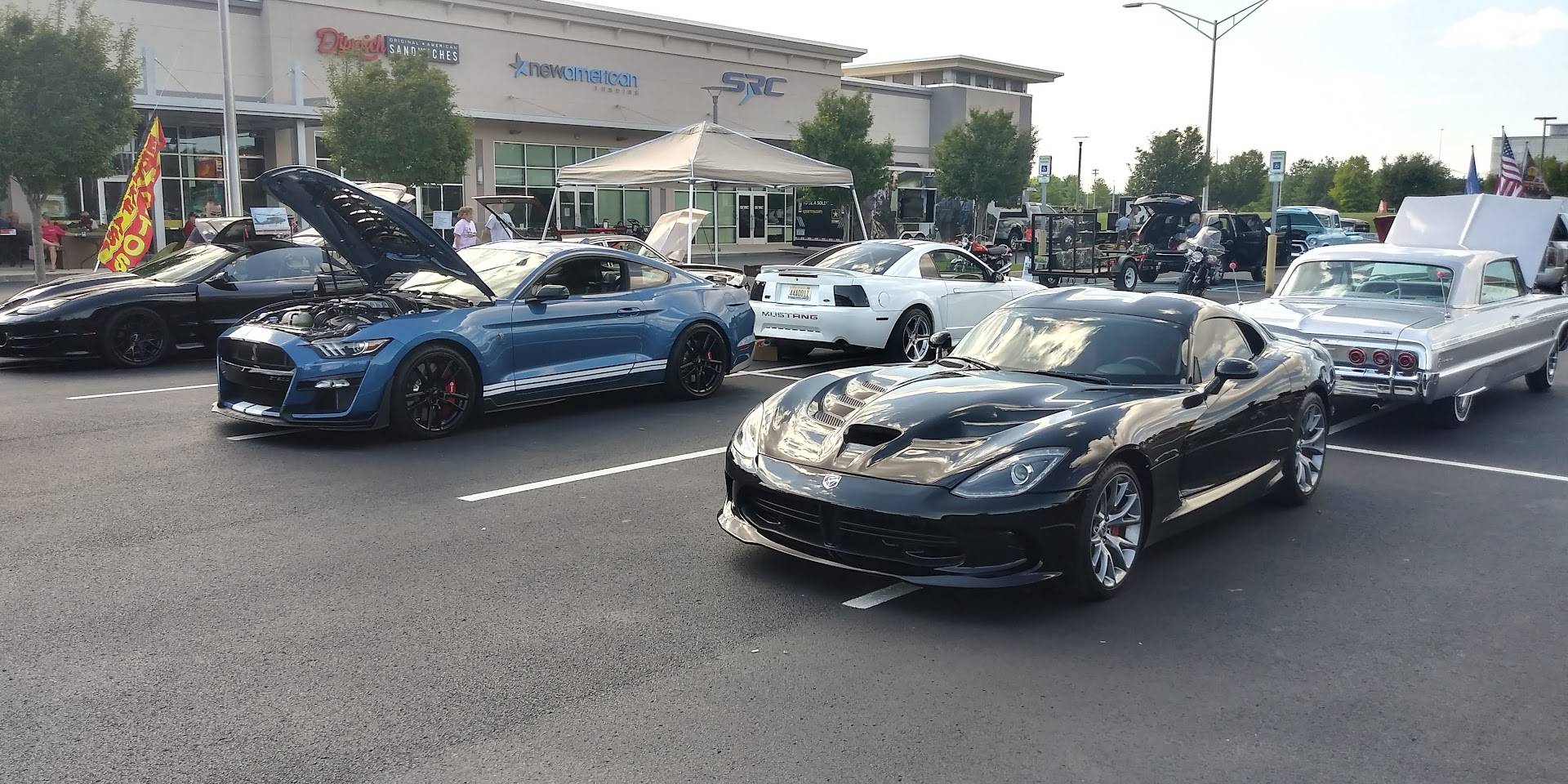 20220611_155548_HDR cobra vipe.jpg