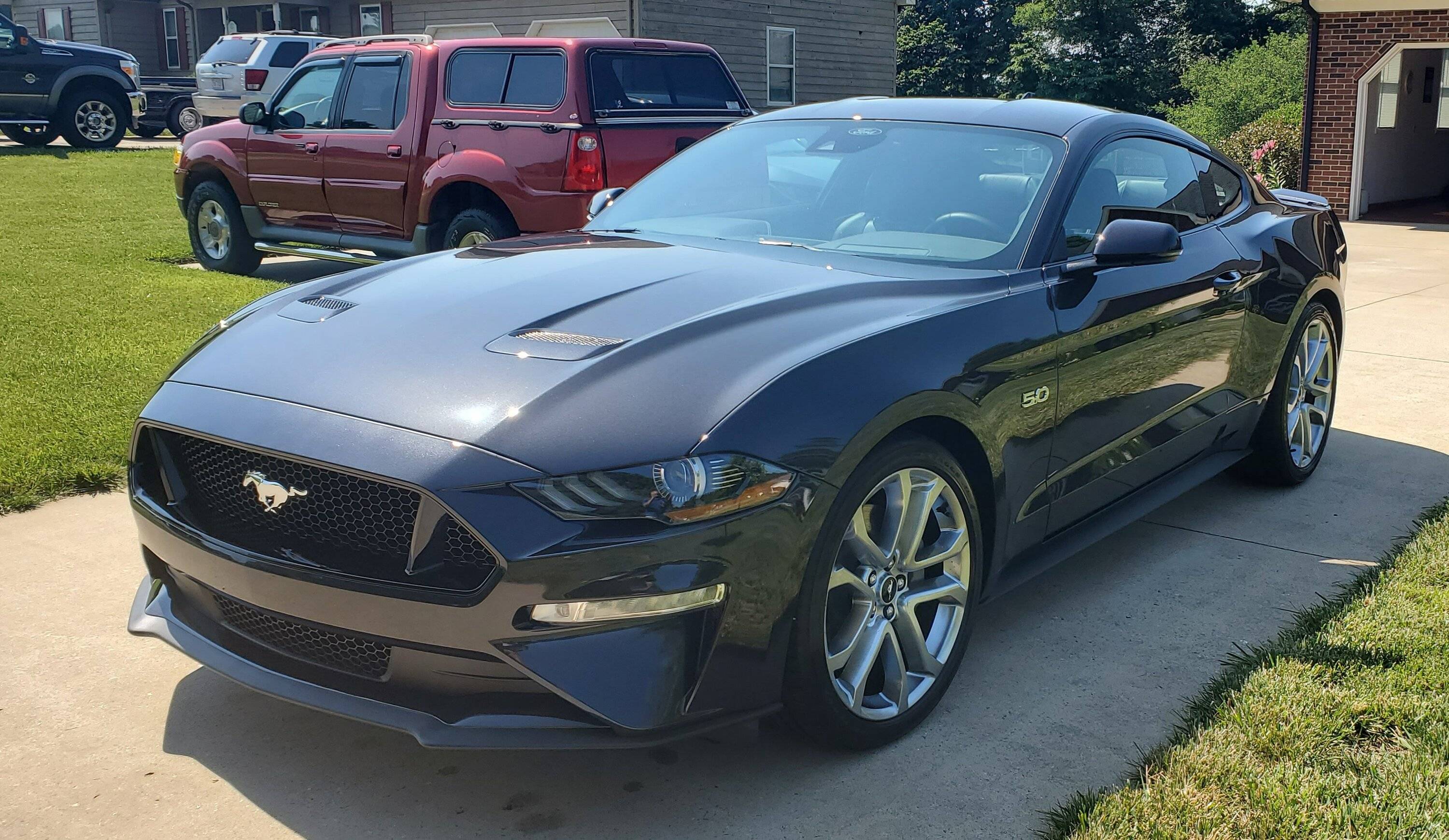 mustang 1.jpg