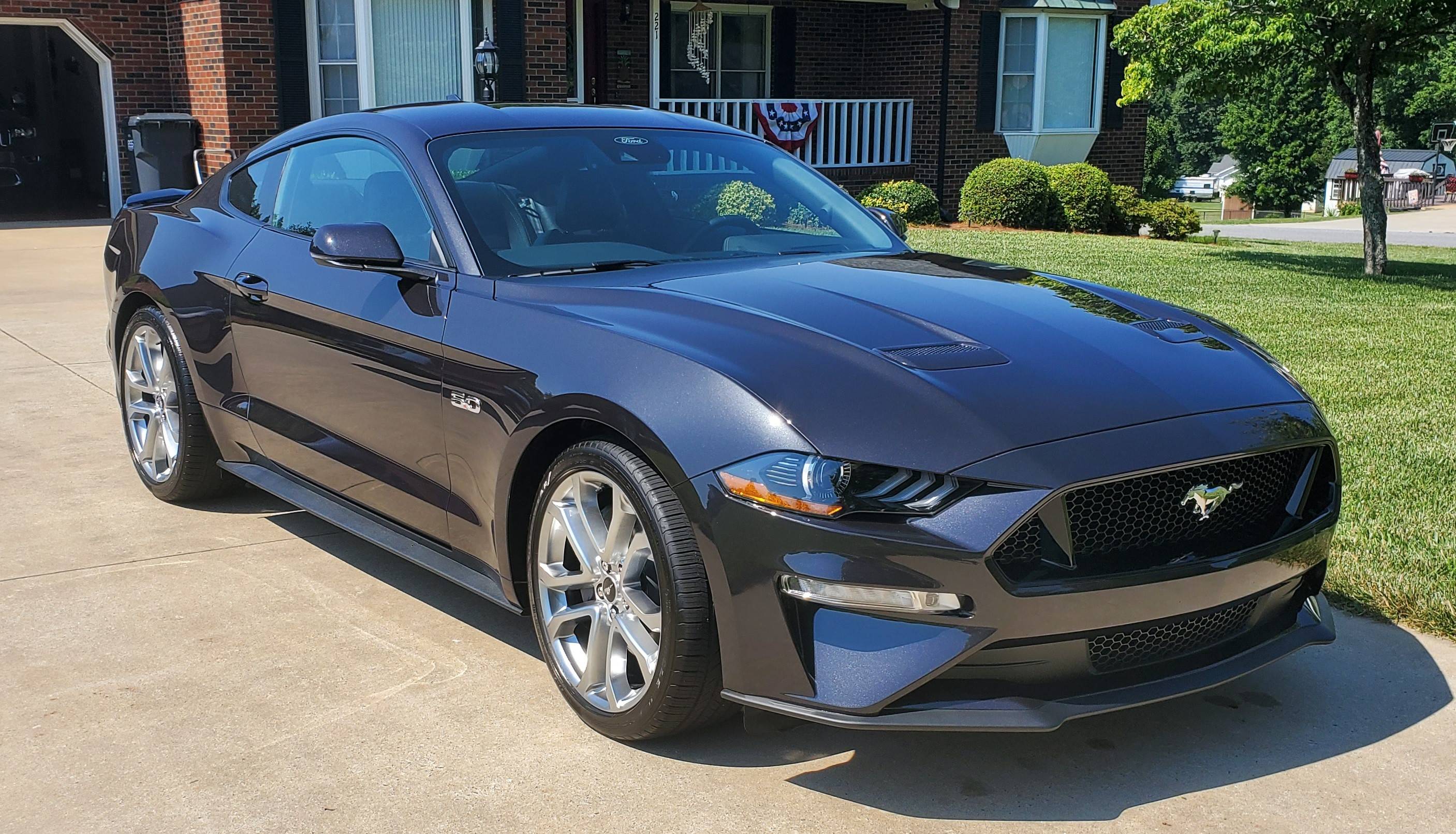 mustang 2.jpg