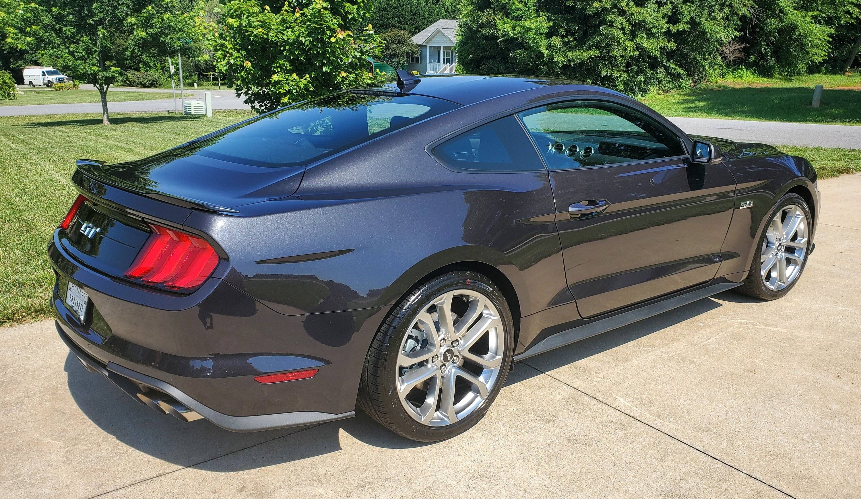 mustang 3.jpg
