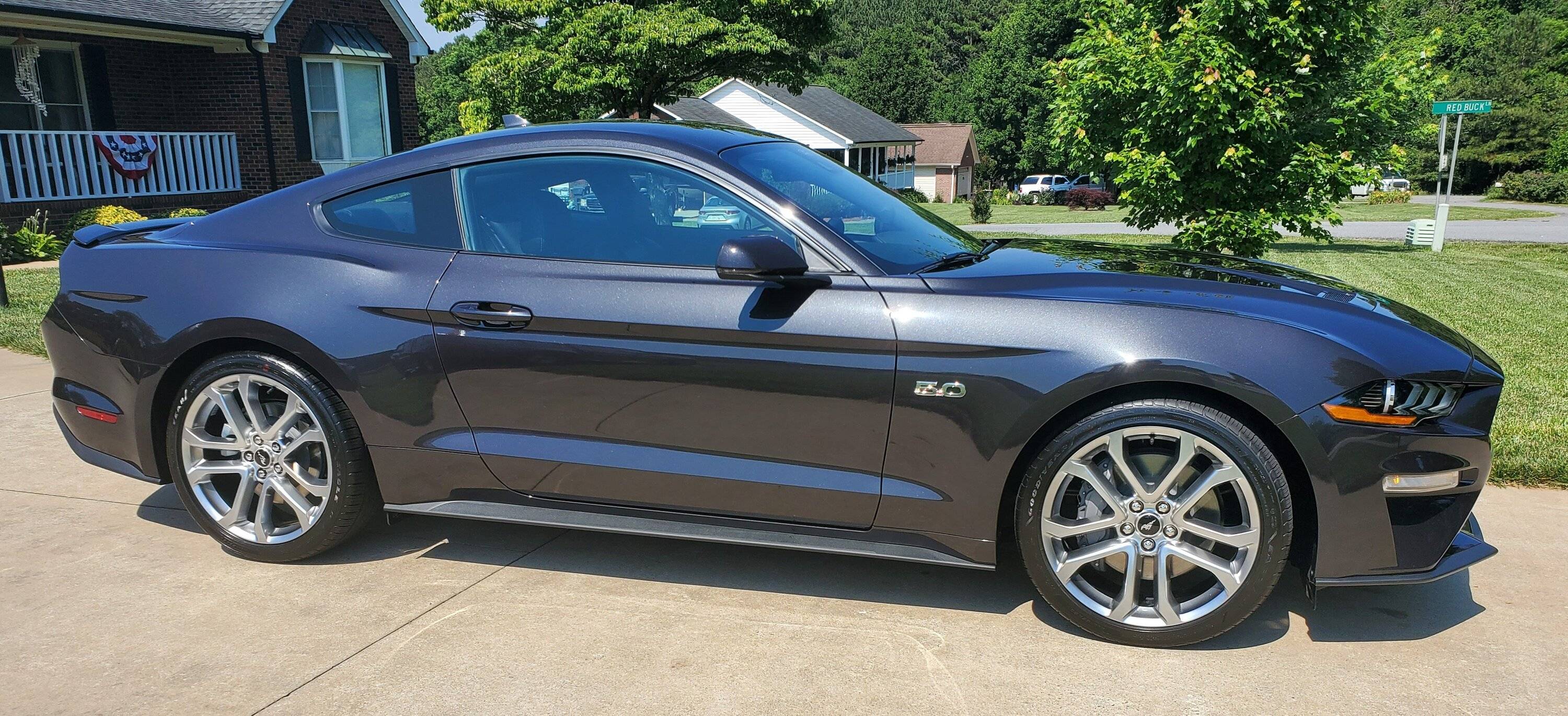 mustang 4.jpg
