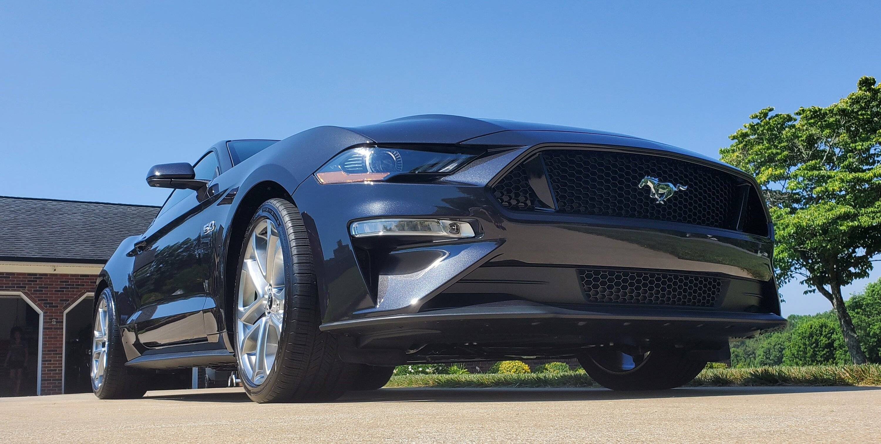 mustang 5.jpg