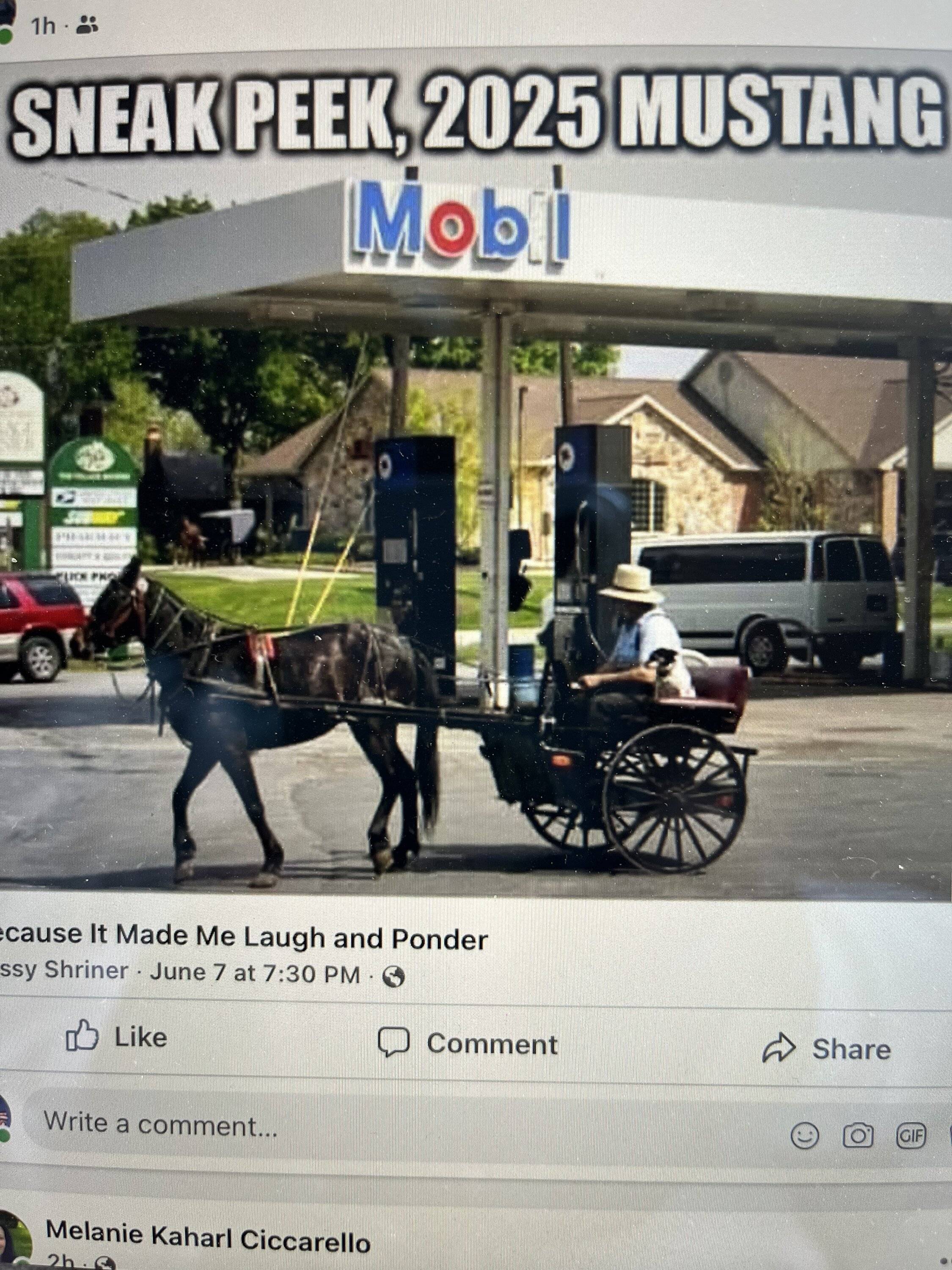 1655067518340.jpeg