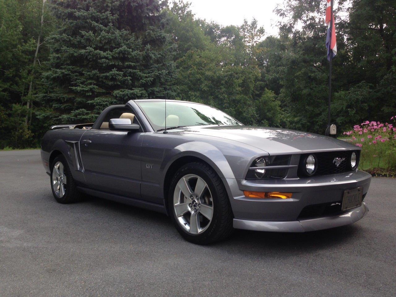 06 Stang Small.jpg