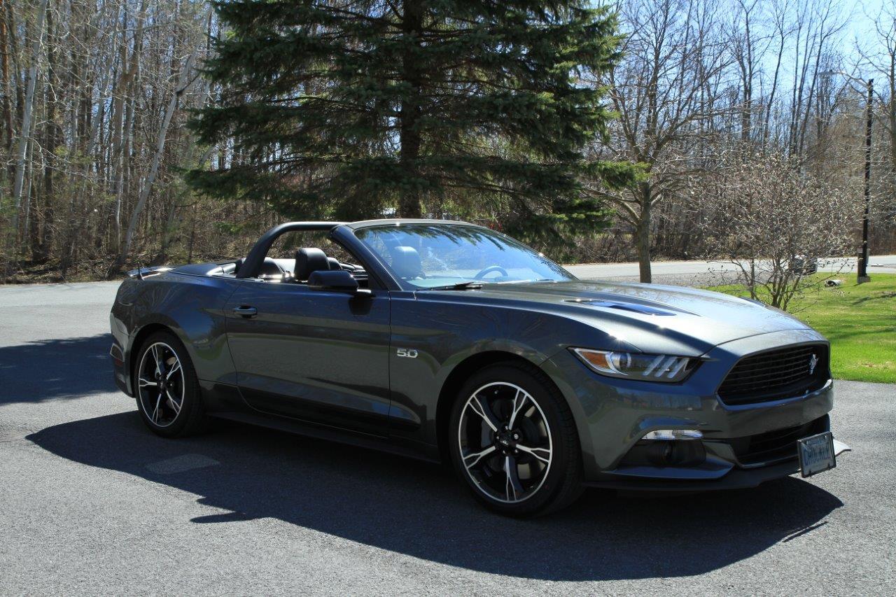 16 Mustang Small.jpg