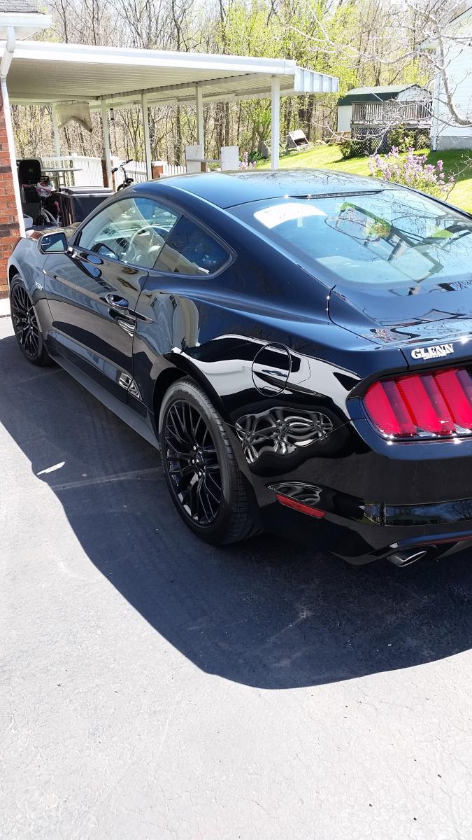 mustang.jpg