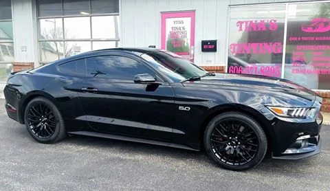 mustangtint.webp