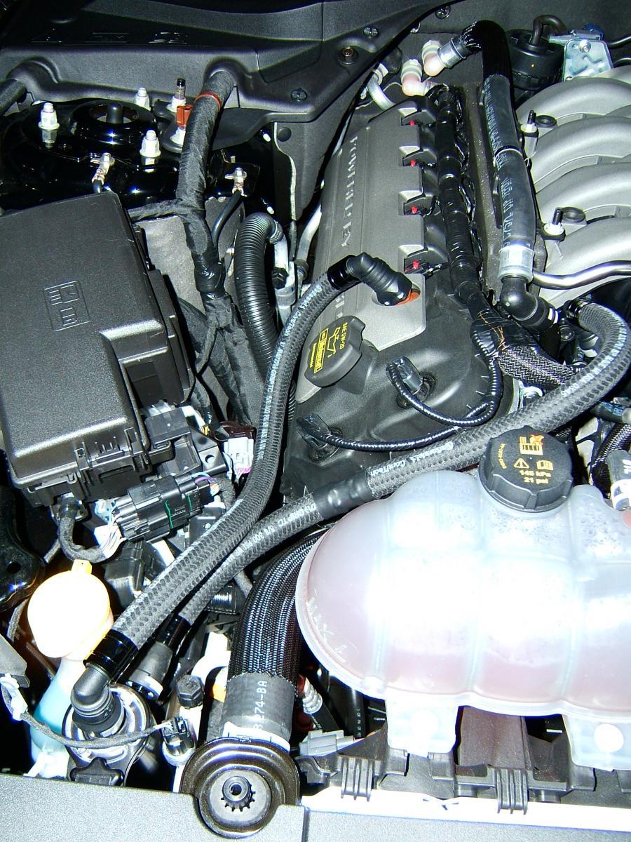 DSCF9796.jpg
