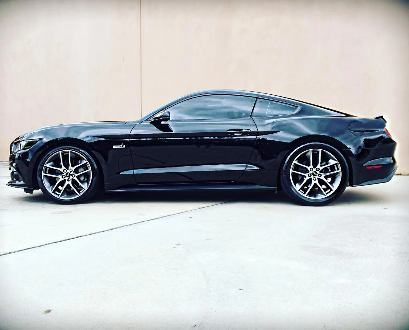 mustang4.webp