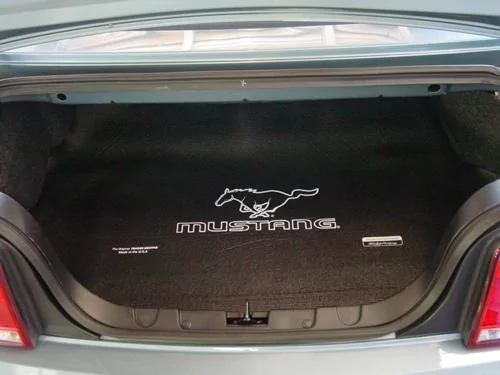 05-08 Mustang Running Pony.webp