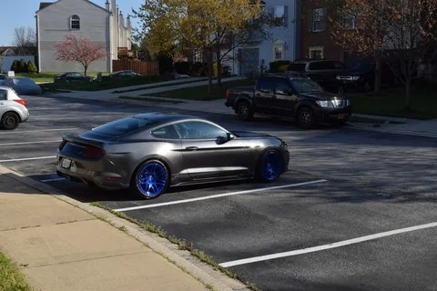 DSC_0047_zpsqwu6r2yx.webp
