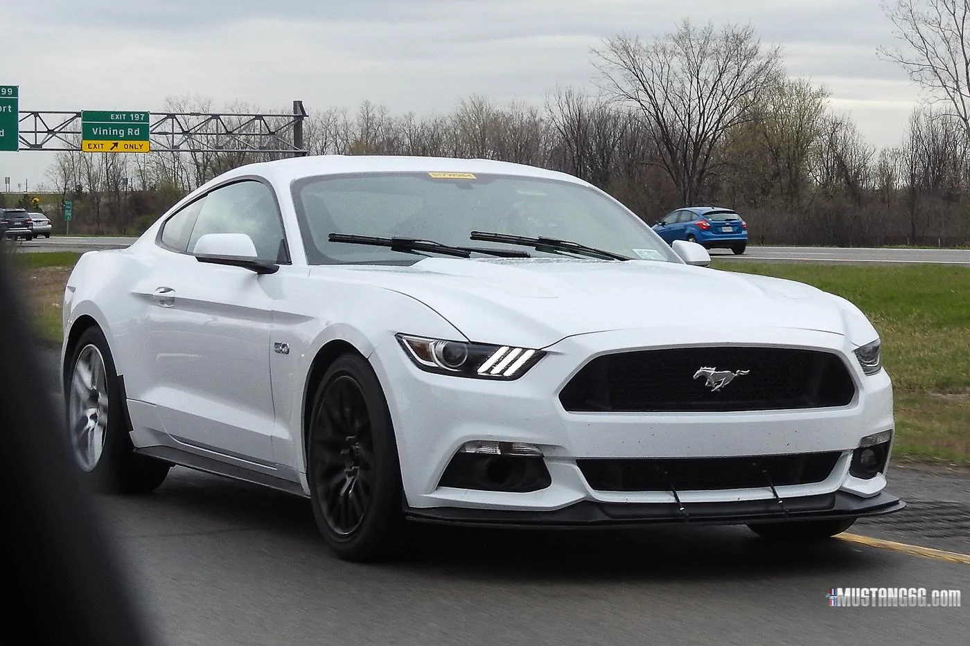 Mach 1 S550 Mustang Mule1.webp
