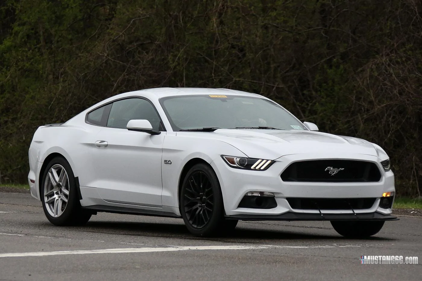Mach 1 S550 Mustang Mule2.webp