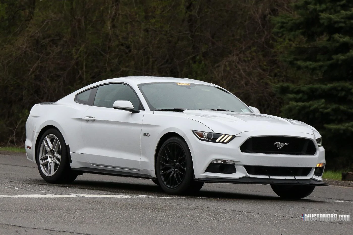 Mach 1 S550 Mustang Mule3.webp