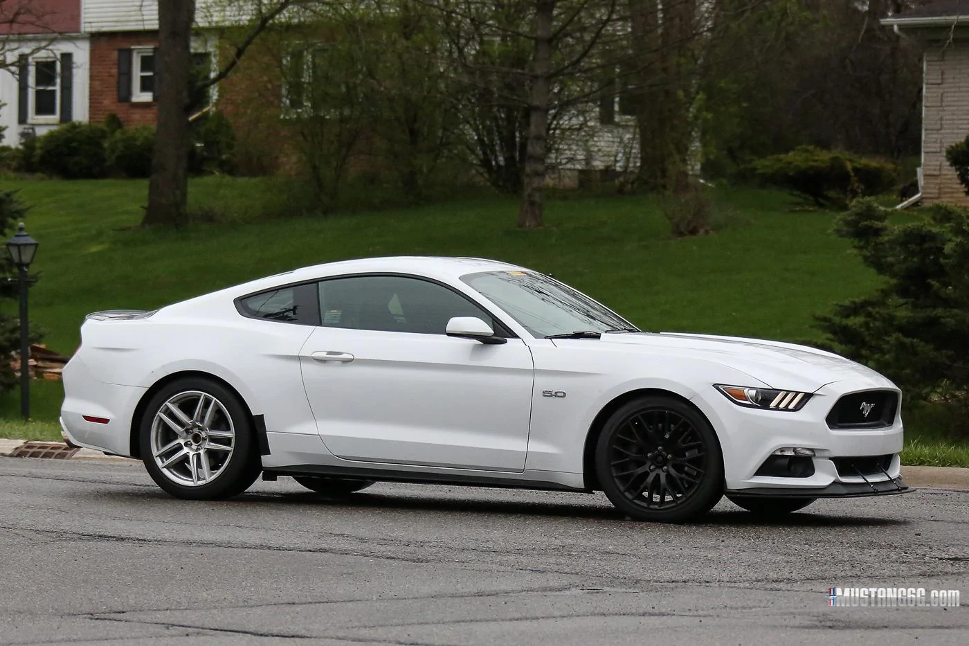 Mach 1 S550 Mustang Mule4.webp