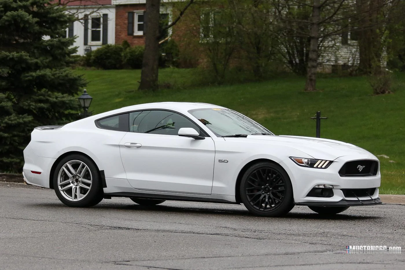 Mach 1 S550 Mustang Mule5.webp