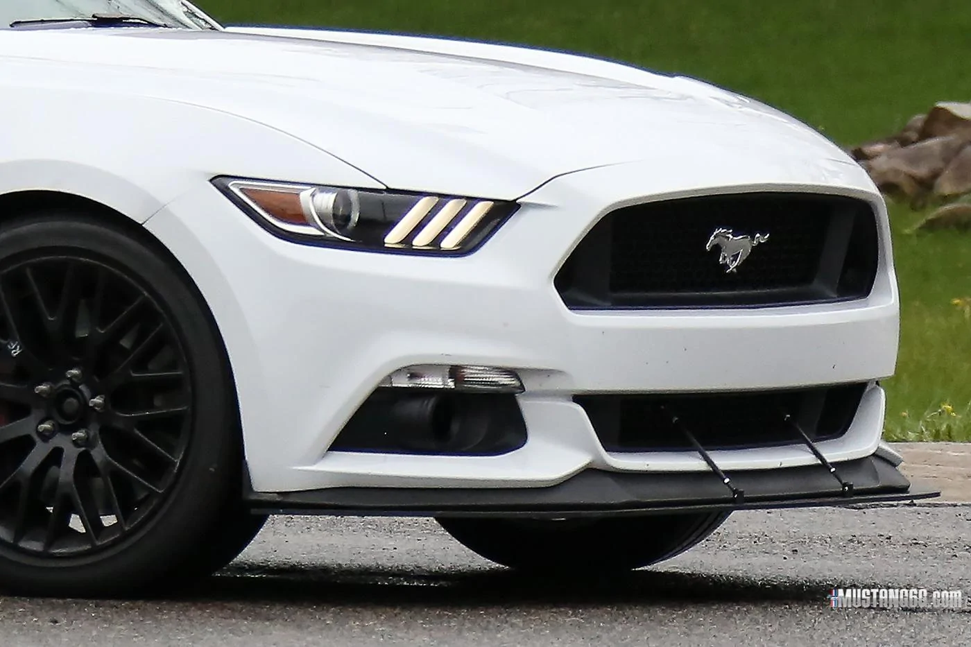 Mach 1 S550 Mustang Mule6.webp
