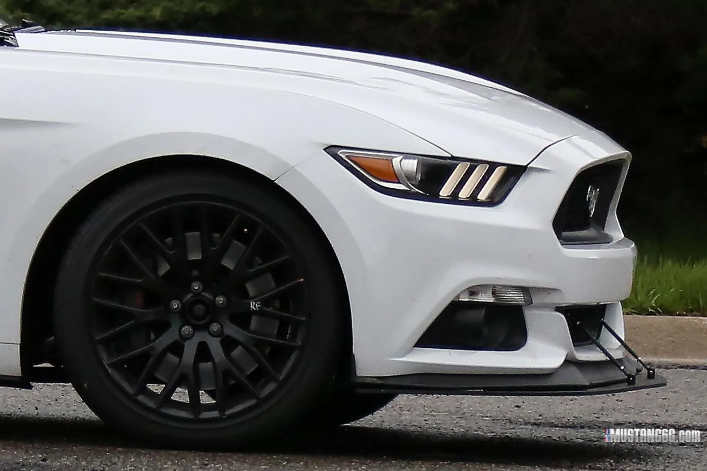 Mach 1 S550 Mustang Mule7.webp
