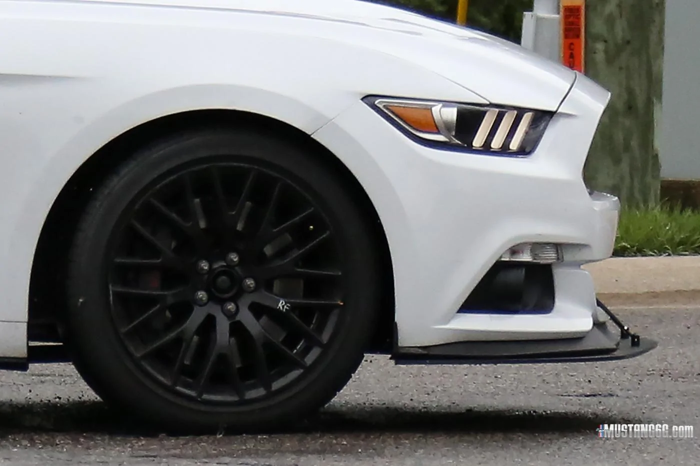 Mach 1 S550 Mustang Mule8.webp