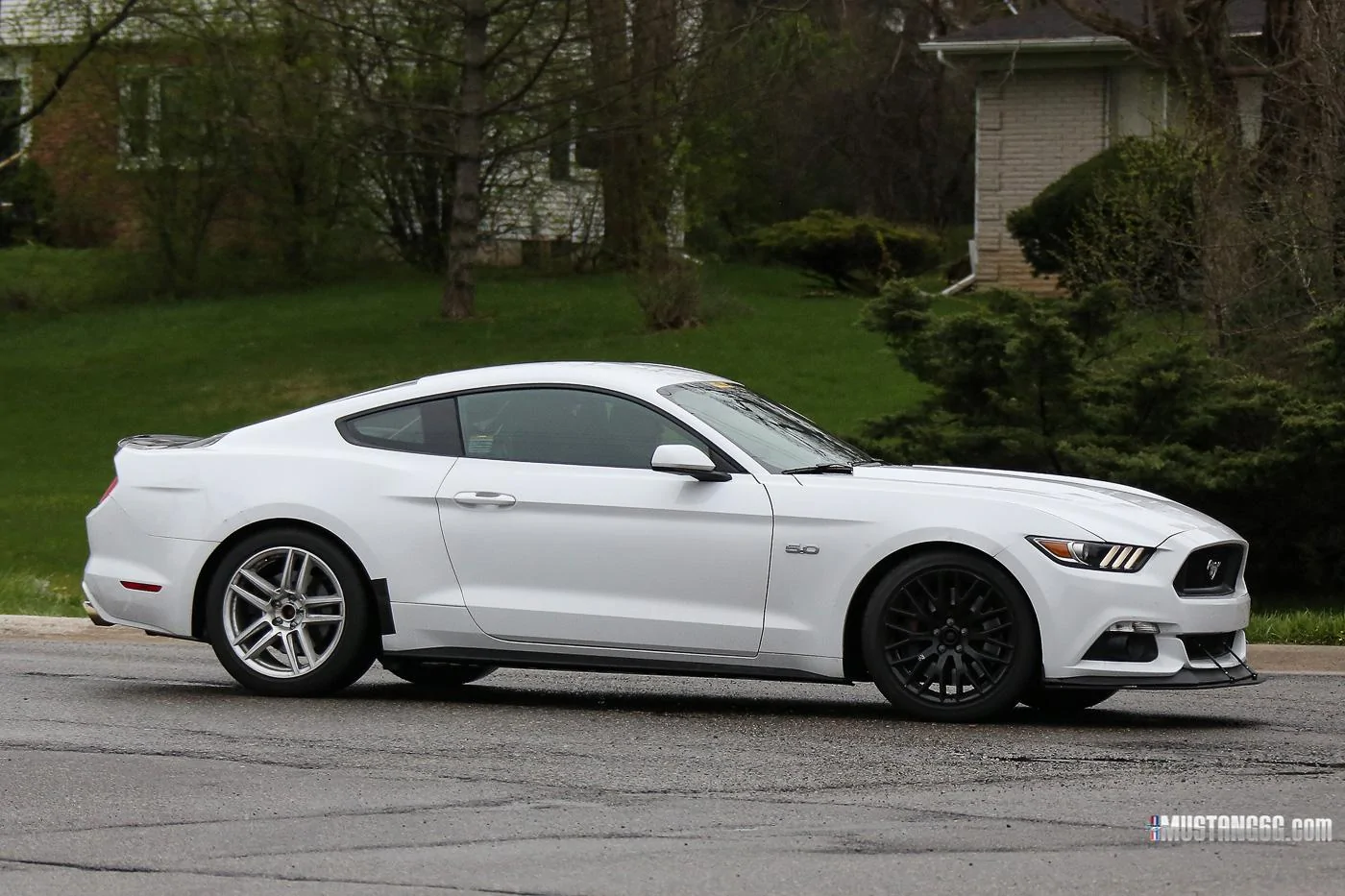 Mach 1 S550 Mustang Mule9.webp