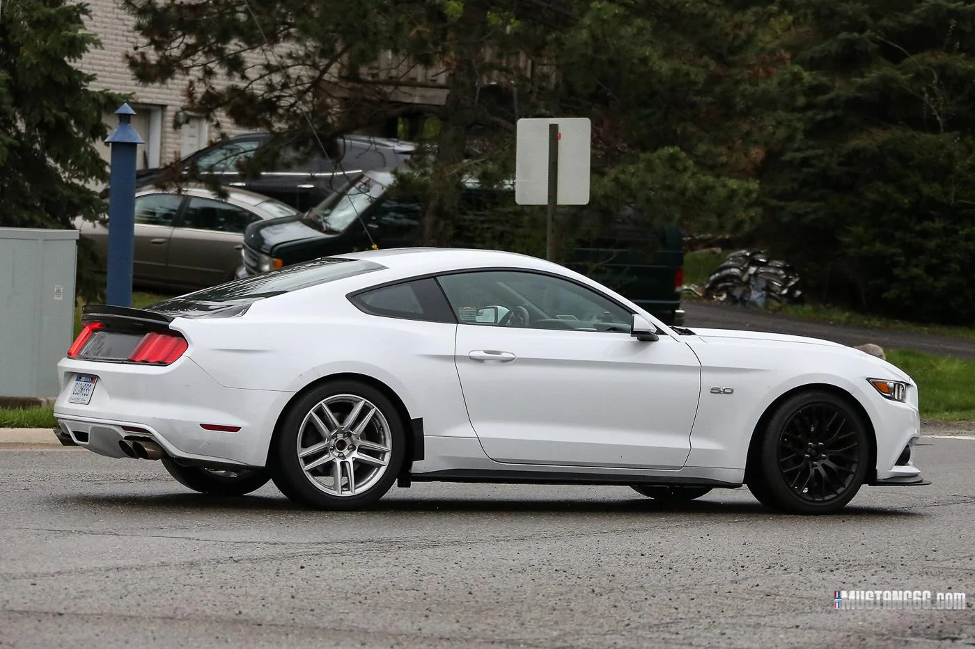Mach 1 S550 Mustang Mule11.webp