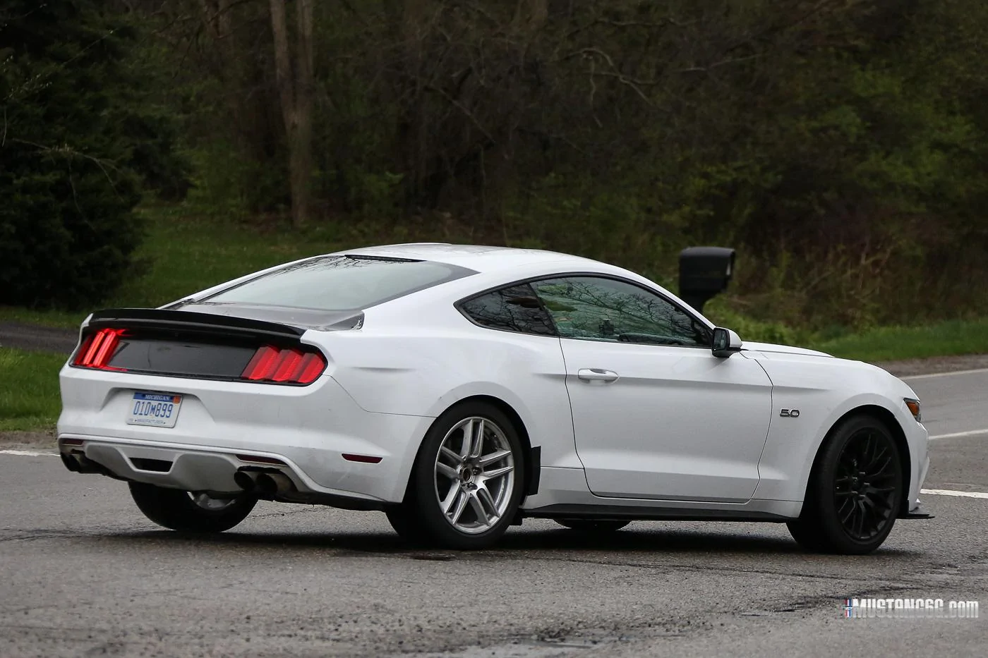 Mach 1 S550 Mustang Mule12.webp