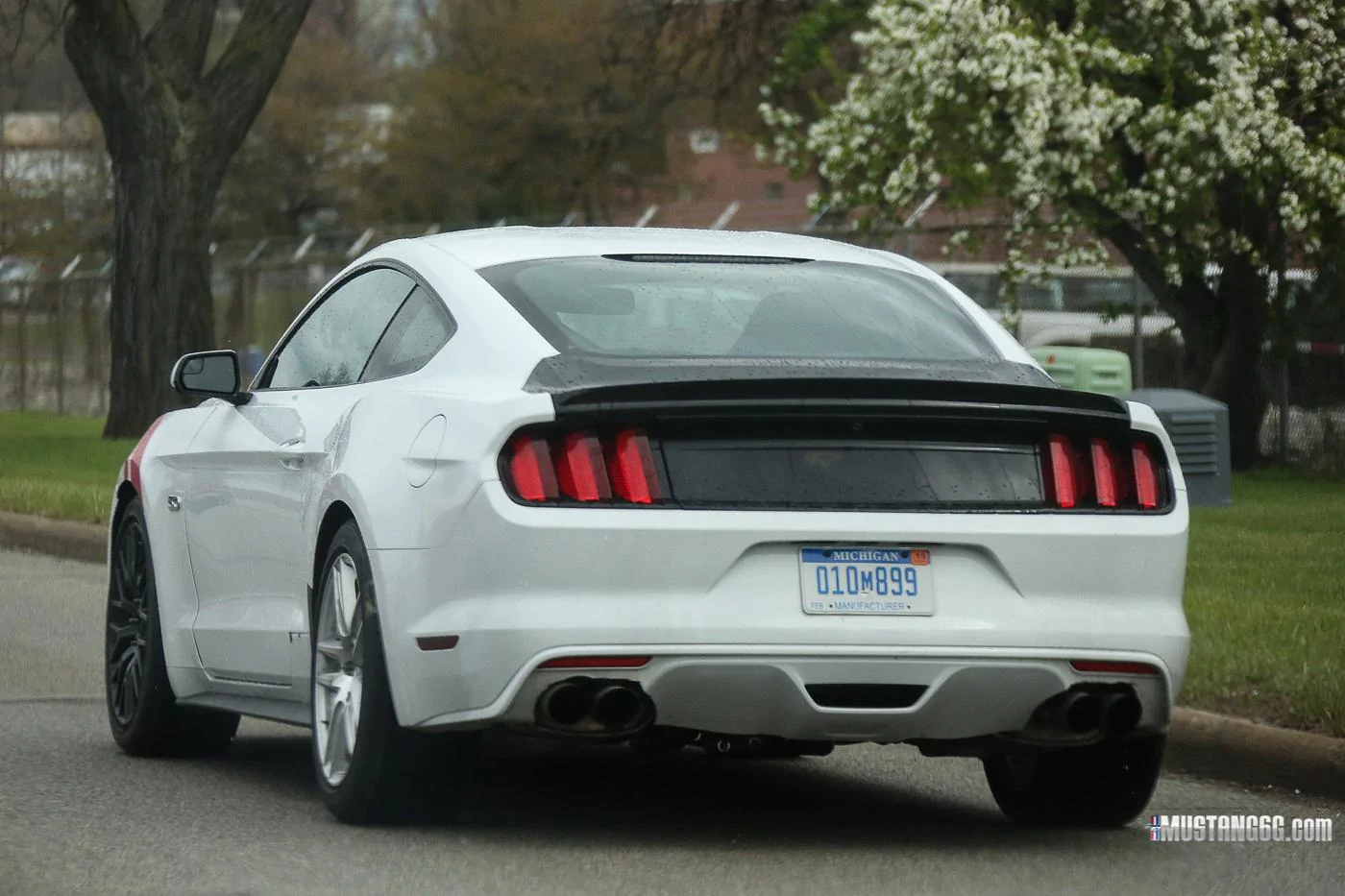 Mach 1 S550 Mustang Mule15.webp