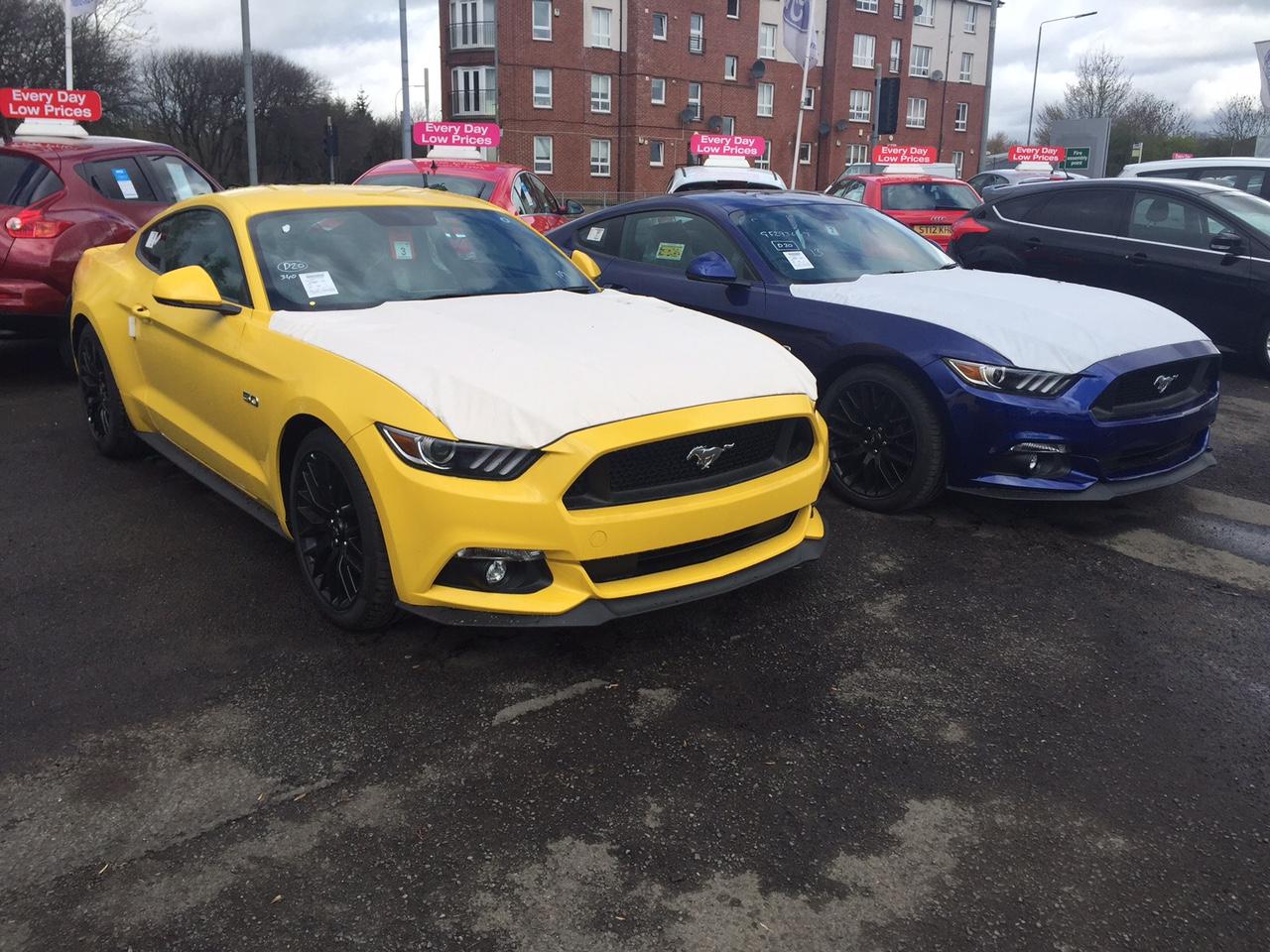 mustangs 2.JPG