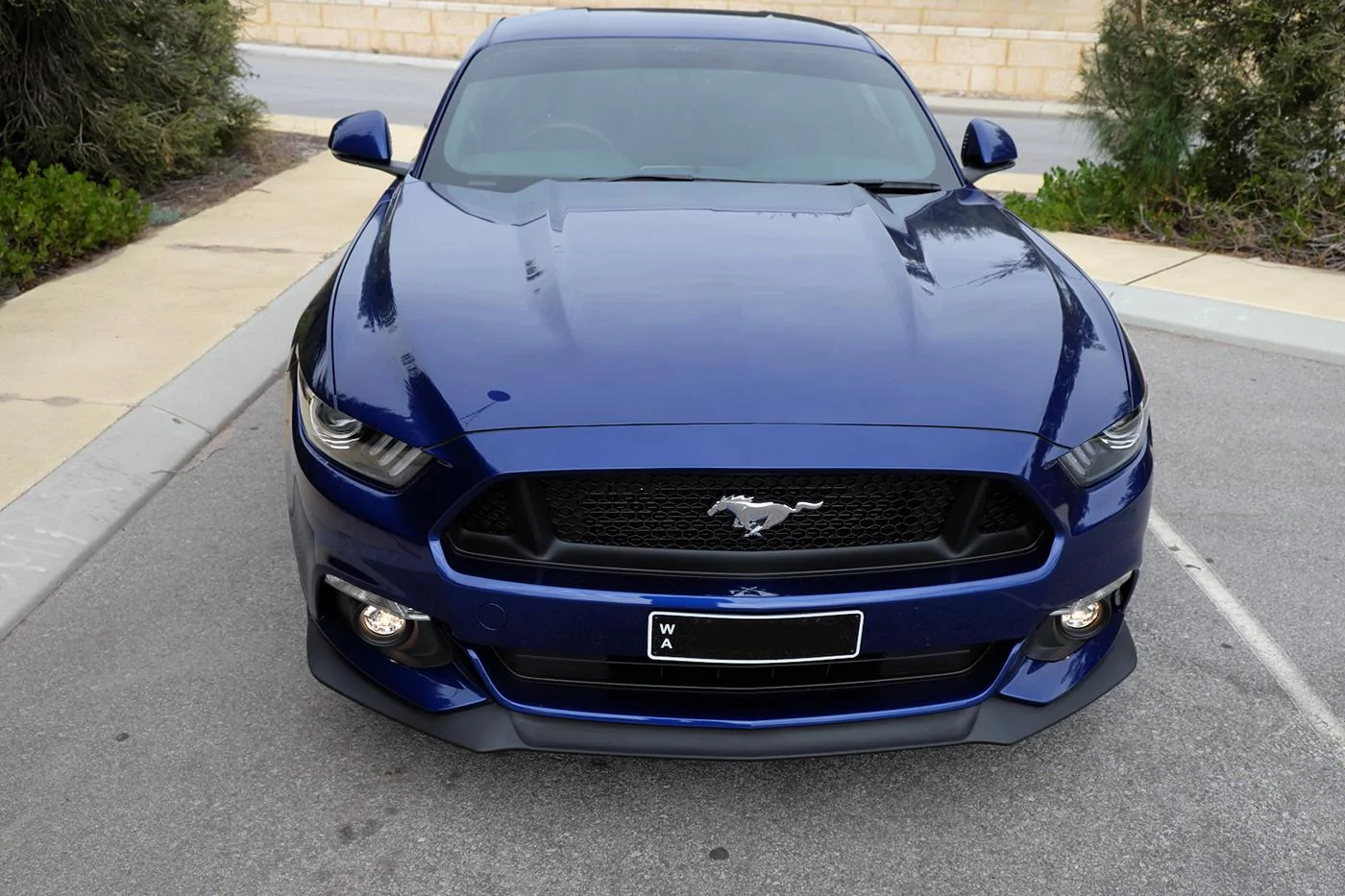 DSCF1477.webp