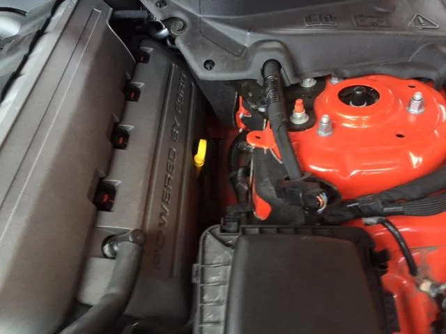 image3.webp
