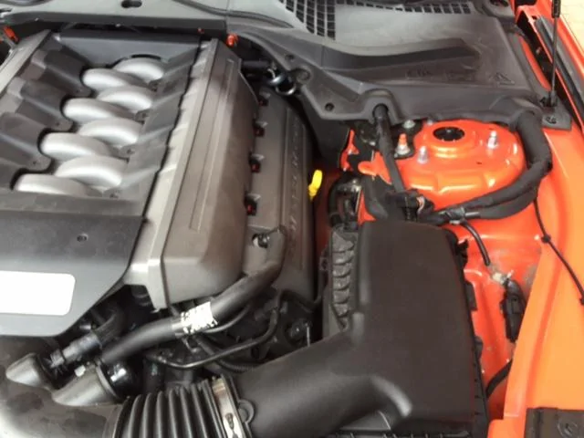 image4.webp