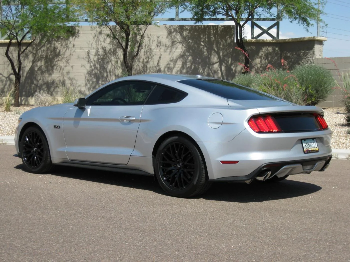 Mustangform1.webp