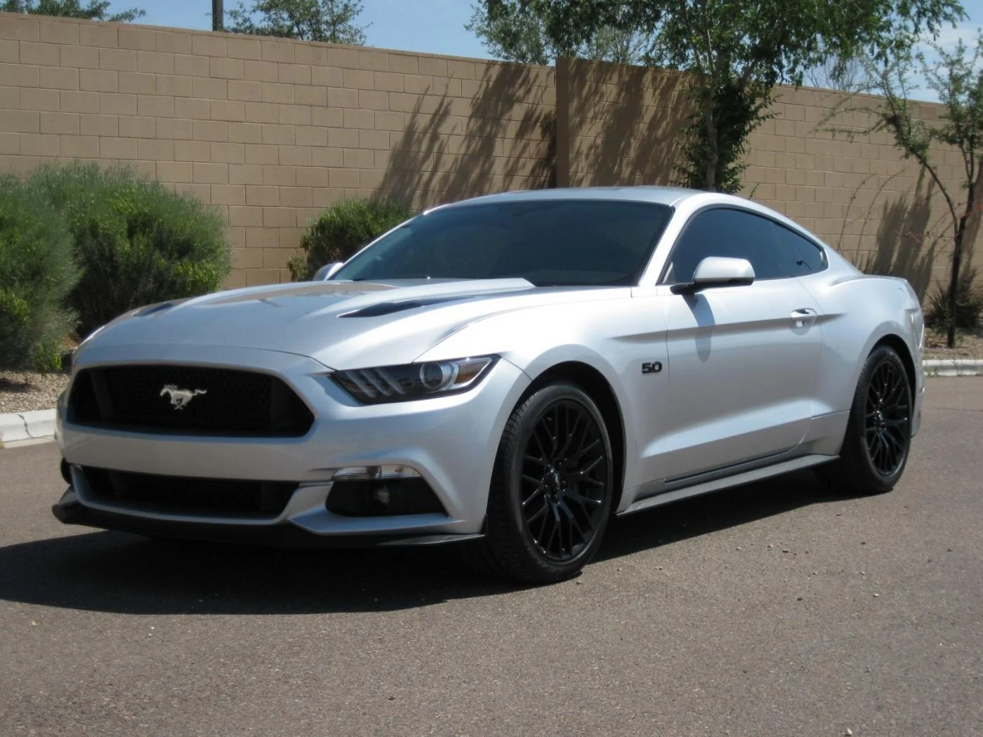 mustangform2.webp