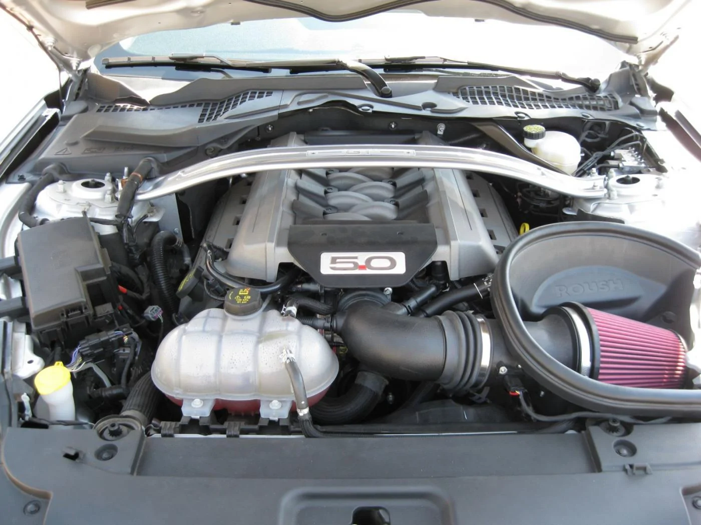 mustangform3.webp