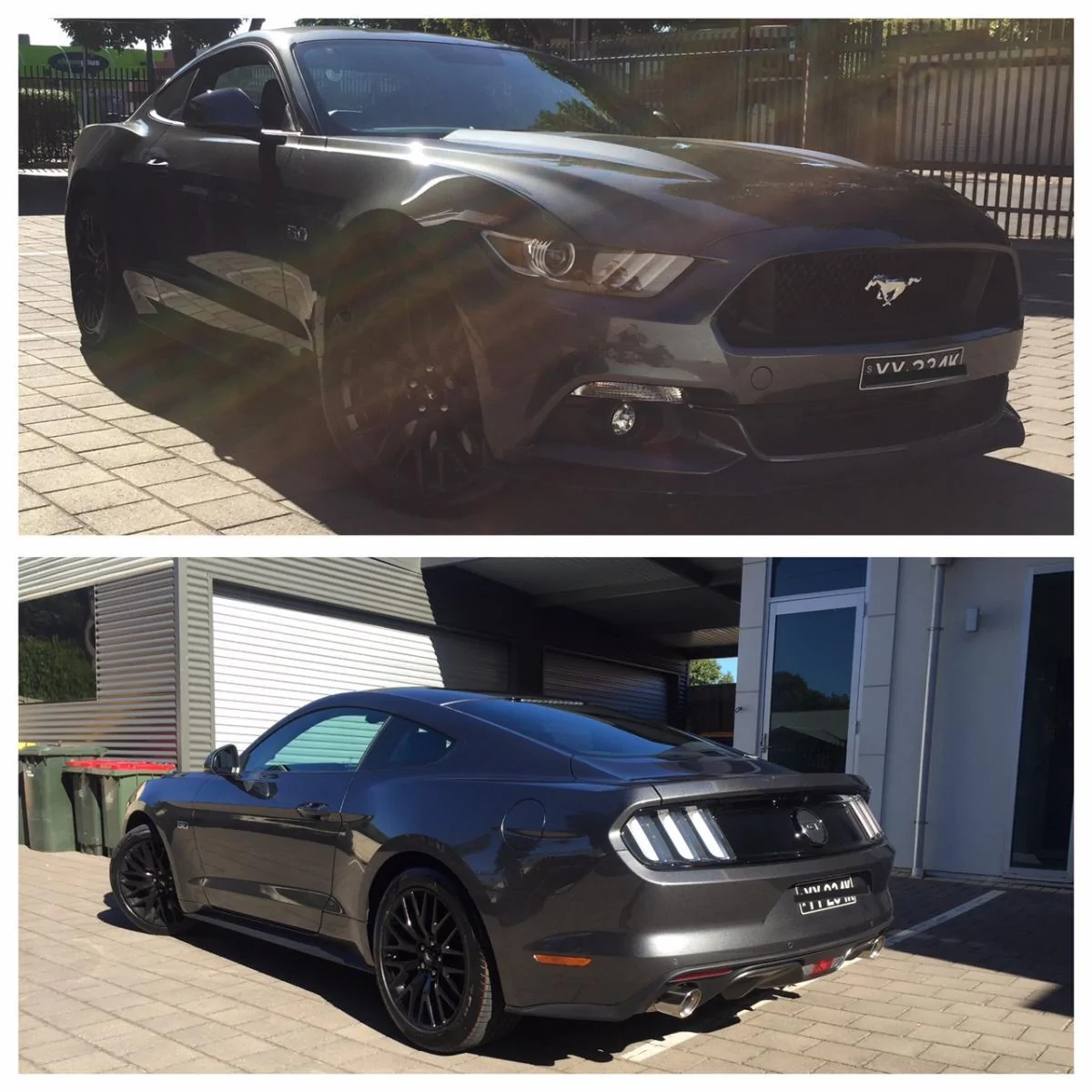 Mustang.webp