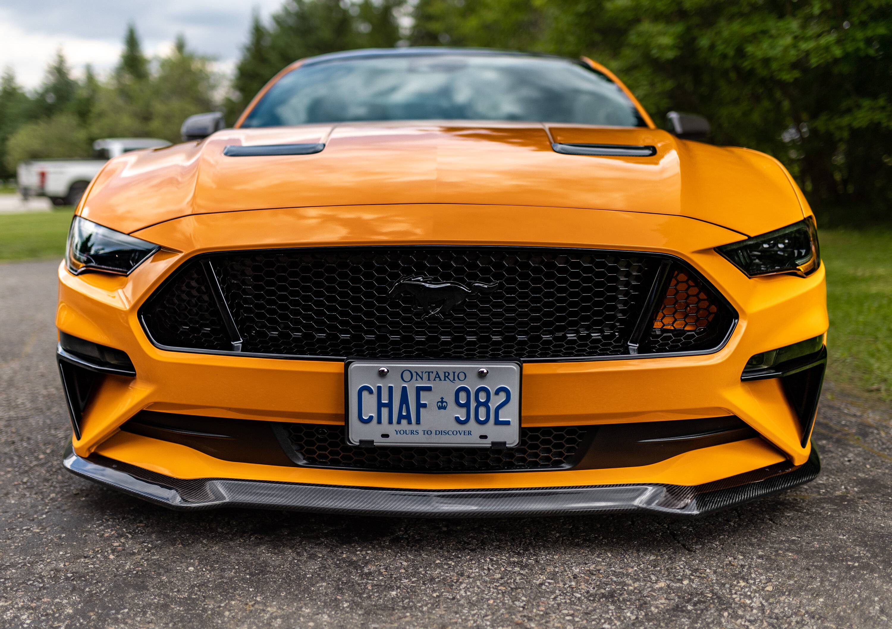 93384444-EF80-4ABB-B2E5-5C4F088114B8.jpeg