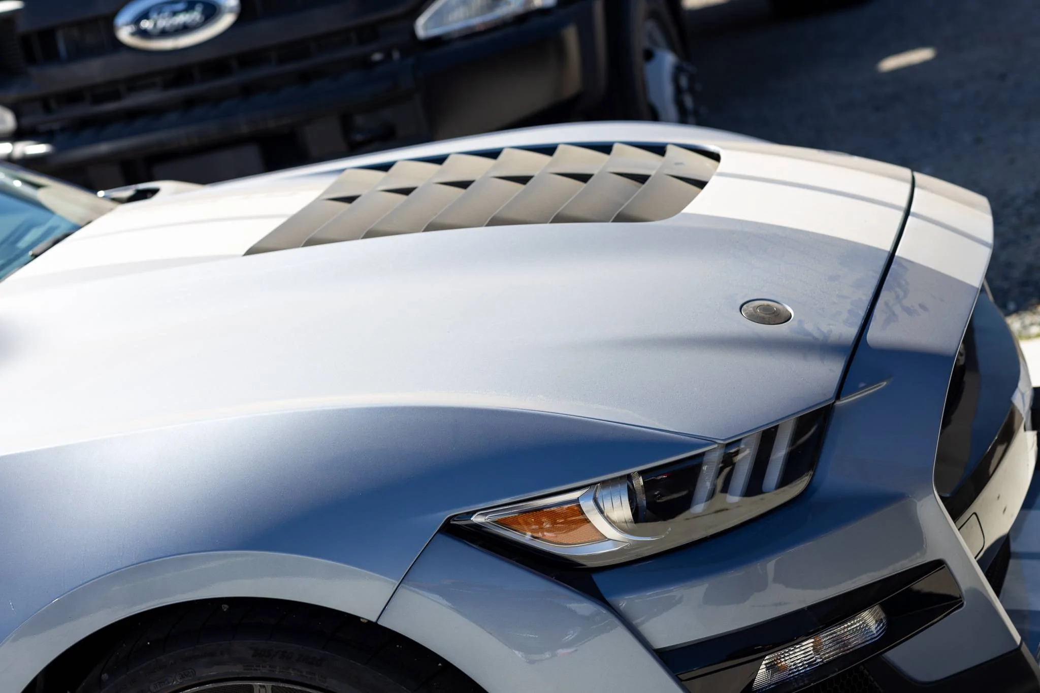 13GT500HE-FORD-SHELBY-BRETT-TURNAGE.webp