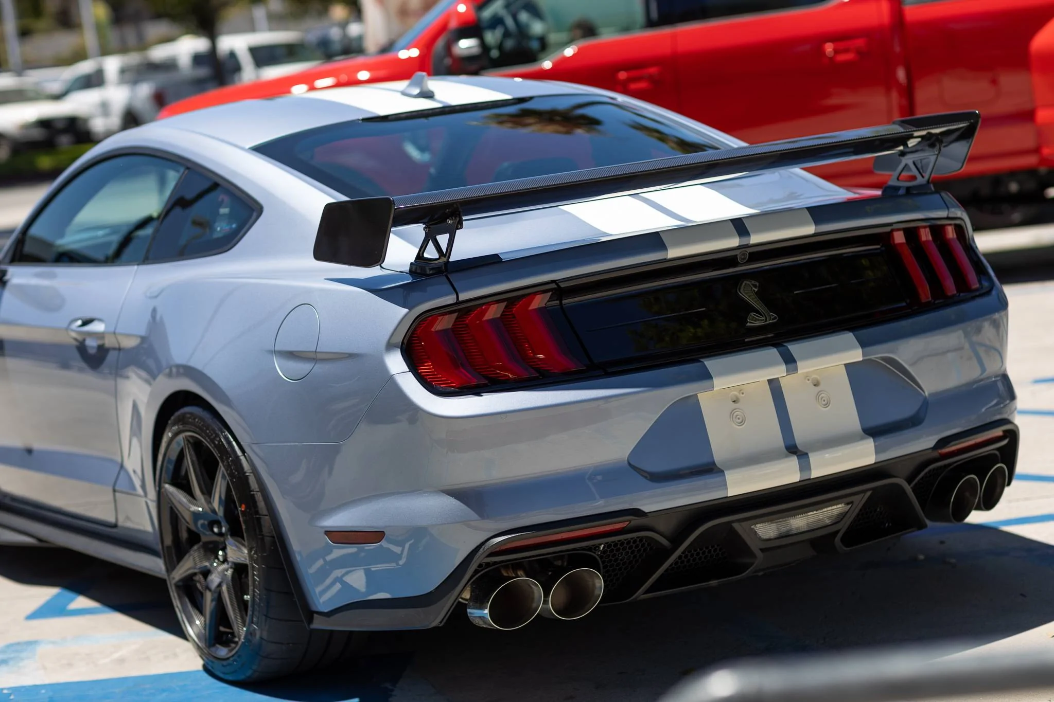 22GT500HE-FORD-SHELBY-BRETT-TURNAGE.webp